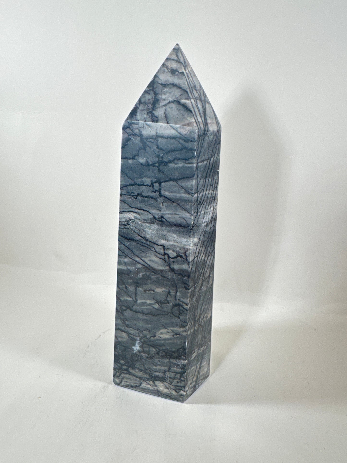 Spiderweb Jasper 6.5”